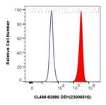 DEK Antibody in Flow Cytometry (Flow)