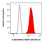 RRBP1 Antibody in Flow Cytometry (Flow)