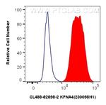 KPNA4 Antibody in Flow Cytometry (Flow)