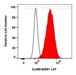 LAT Antibody in Flow Cytometry (Flow)