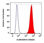 BAZ2A Antibody in Flow Cytometry (Flow)