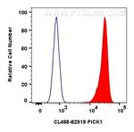 PICK1 Antibody in Flow Cytometry (Flow)