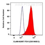 FDX1 Antibody in Flow Cytometry (Flow)