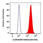 RAB32 Antibody in Flow Cytometry (Flow)