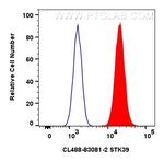 STK39 Antibody in Flow Cytometry (Flow)