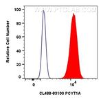 PCYT1A Antibody in Flow Cytometry (Flow)