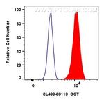 OGT Antibody in Flow Cytometry (Flow)