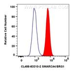 SMARCA4/BRG1 Antibody in Flow Cytometry (Flow)