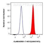 HEY2 Antibody in Flow Cytometry (Flow)
