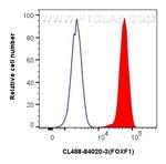 FOXF1 Antibody in Flow Cytometry (Flow)