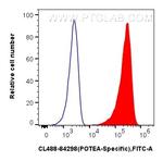POTEA Antibody in Flow Cytometry (Flow)