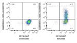 IL-12/IL-23 p40 Antibody in Flow Cytometry (Flow)