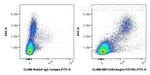 Endoglin/CD105 Antibody in Flow Cytometry (Flow)