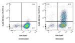 IL-17F Antibody in Flow Cytometry (Flow)