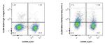 TNFR2/CD120b Antibody in Flow Cytometry (Flow)