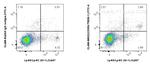 CD354/TREM-1 Antibody in Flow Cytometry (Flow)