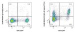 CD126/IL-6R alpha Antibody in Flow Cytometry (Flow)