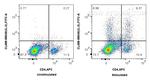 IL-2 Antibody in Flow Cytometry (Flow)
