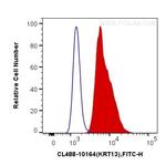 Cytokeratin 13 Antibody in Flow Cytometry (Flow)