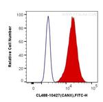 Calnexin Antibody in Flow Cytometry (Flow)