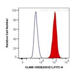 DDX21 Antibody in Flow Cytometry (Flow)
