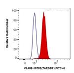 TDP-43 Antibody in Flow Cytometry (Flow)