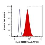 Palladin Antibody in Flow Cytometry (Flow)