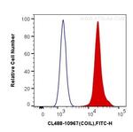 Coilin Antibody in Flow Cytometry (Flow)