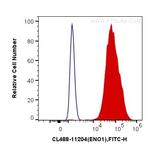 ENO1 Antibody in Flow Cytometry (Flow)