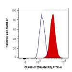 Annexin A2 Antibody in Flow Cytometry (Flow)