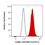 ERK1/2 Antibody in Flow Cytometry (Flow)