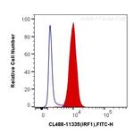 IRF1 Antibody in Flow Cytometry (Flow)