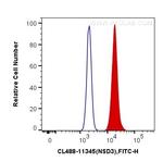 NSD3 Antibody in Flow Cytometry (Flow)