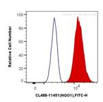 NQO1 Antibody in Flow Cytometry (Flow)