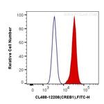 CREB1 Antibody in Flow Cytometry (Flow)