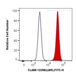 LBR Antibody in Flow Cytometry (Flow)