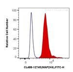MEK6 Antibody in Flow Cytometry (Flow)