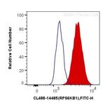 p70 (S6K) Antibody in Flow Cytometry (Flow)