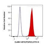 TFAP2C Antibody in Flow Cytometry (Flow)