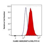LC3 Antibody in Flow Cytometry (Flow)