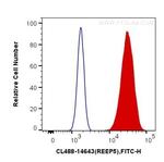 REEP5 Antibody in Flow Cytometry (Flow)