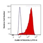UCHL1/PGP9.5 Antibody in Flow Cytometry (Flow)