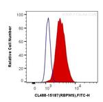 RBPMS Antibody in Flow Cytometry (Flow)