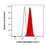 NBR1 Antibody in Flow Cytometry (Flow)