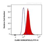 NRF2, NFE2L2 Antibody in Flow Cytometry (Flow)
