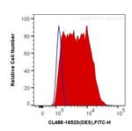 Desmin Antibody in Flow Cytometry (Flow)