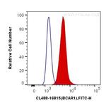 p130Cas Antibody in Flow Cytometry (Flow)