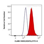 VEGFA Antibody in Flow Cytometry (Flow)