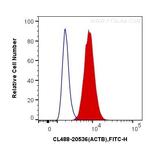 Beta Actin Antibody in Flow Cytometry (Flow)