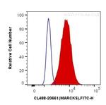 MARCKS Antibody in Flow Cytometry (Flow)